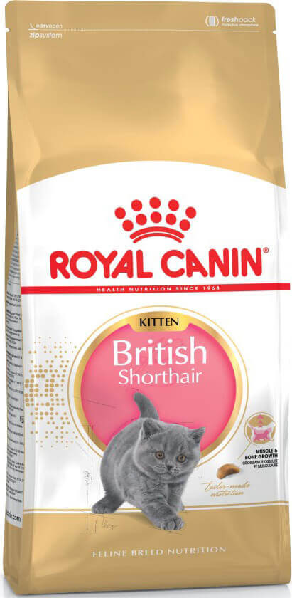 Royal Canin British Short Hair Kitten