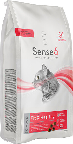Sense6 Fit and Healthy