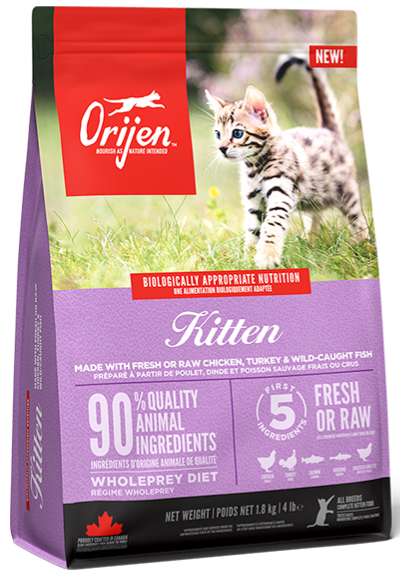 Orijen Kitten