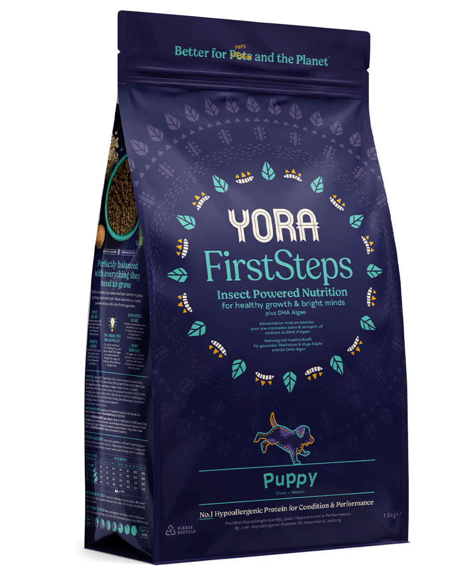 Yora First Steps Puppy