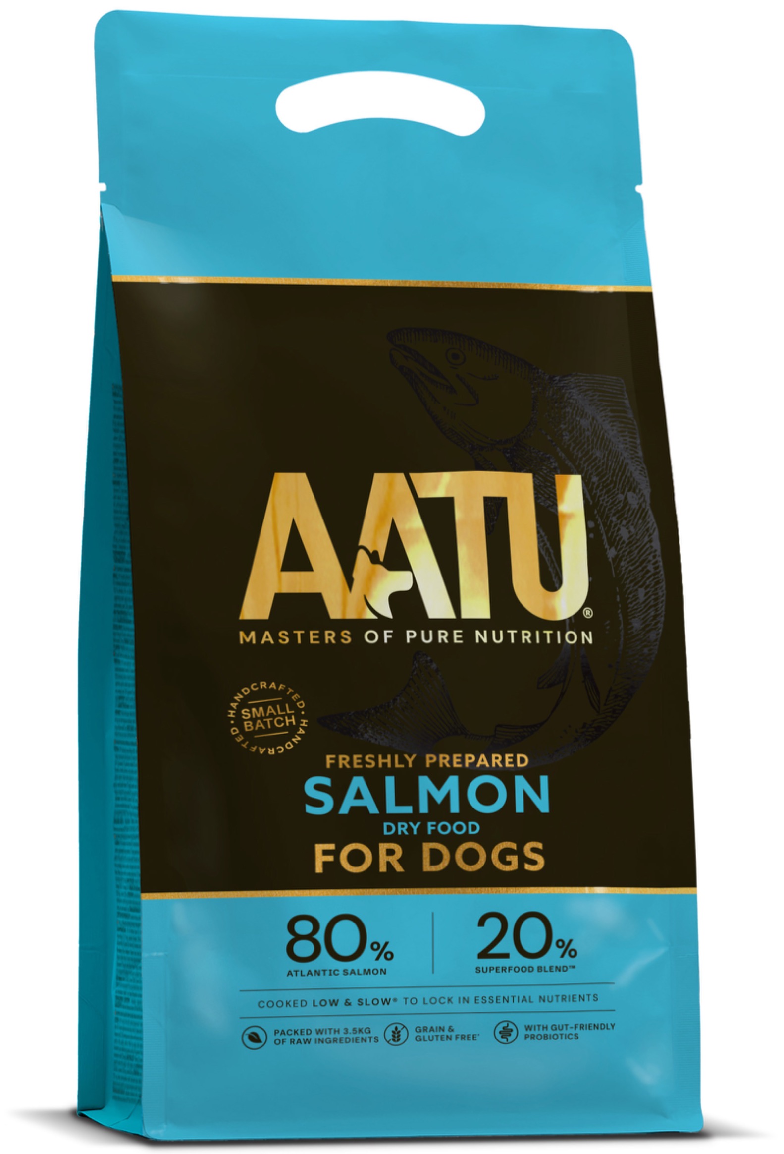 Aatu Salmon