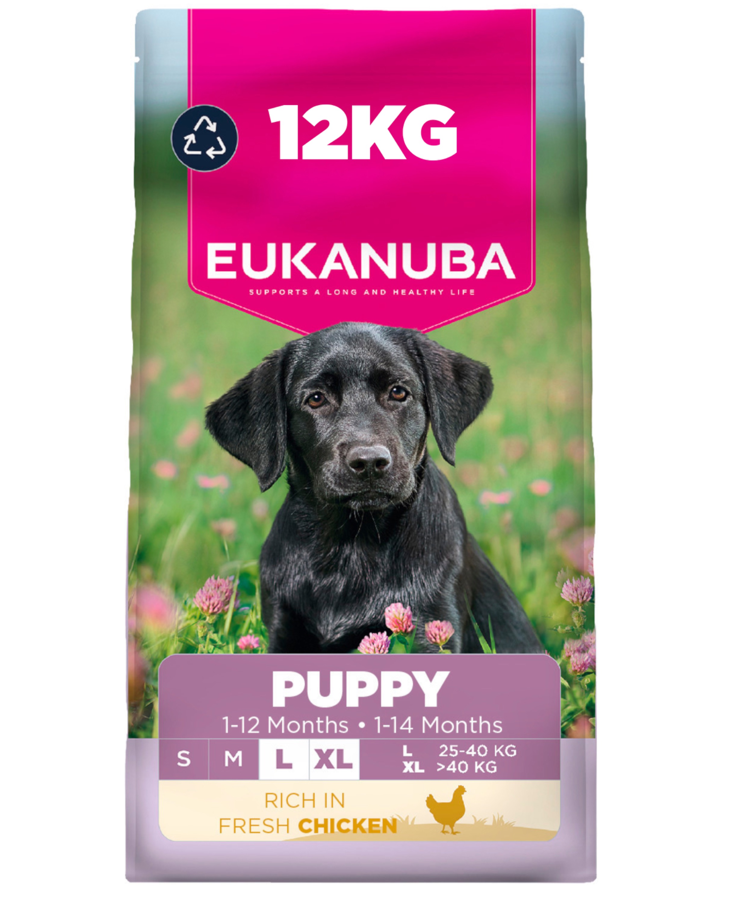 Eukanuba Puppy Large Breed Fresh Chicken